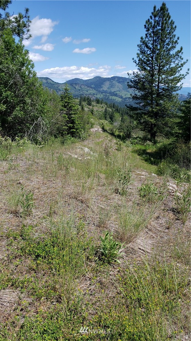 3478 Moore Road Kettle Falls, WA 99141 - Photo 29 of 37 Gallery Image 29