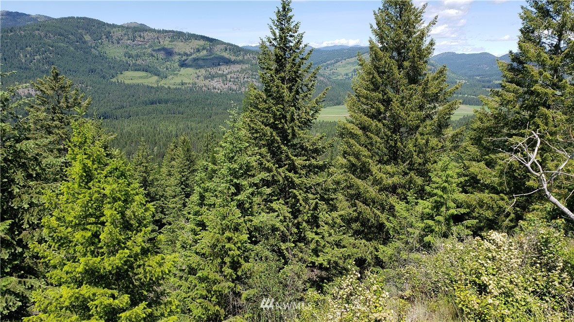 3478 Moore Road Kettle Falls, WA 99141 - Photo 30 of 37 Gallery Image 30