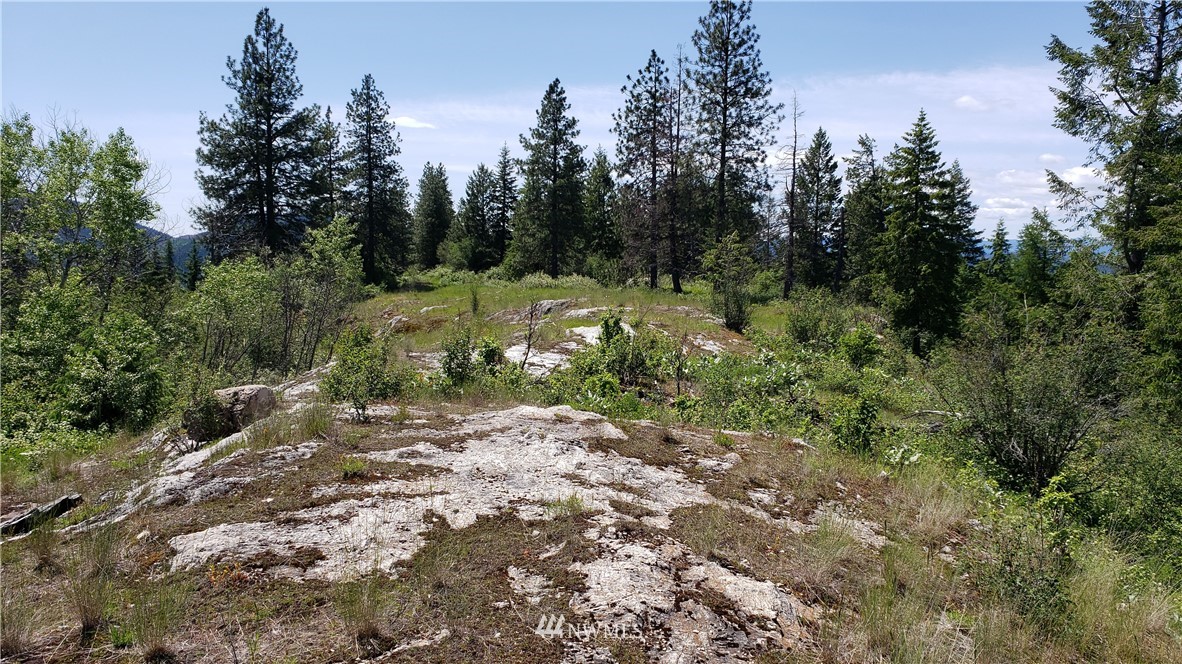 3478 Moore Road Kettle Falls, WA 99141 - Photo 31 of 37 Gallery Image 31