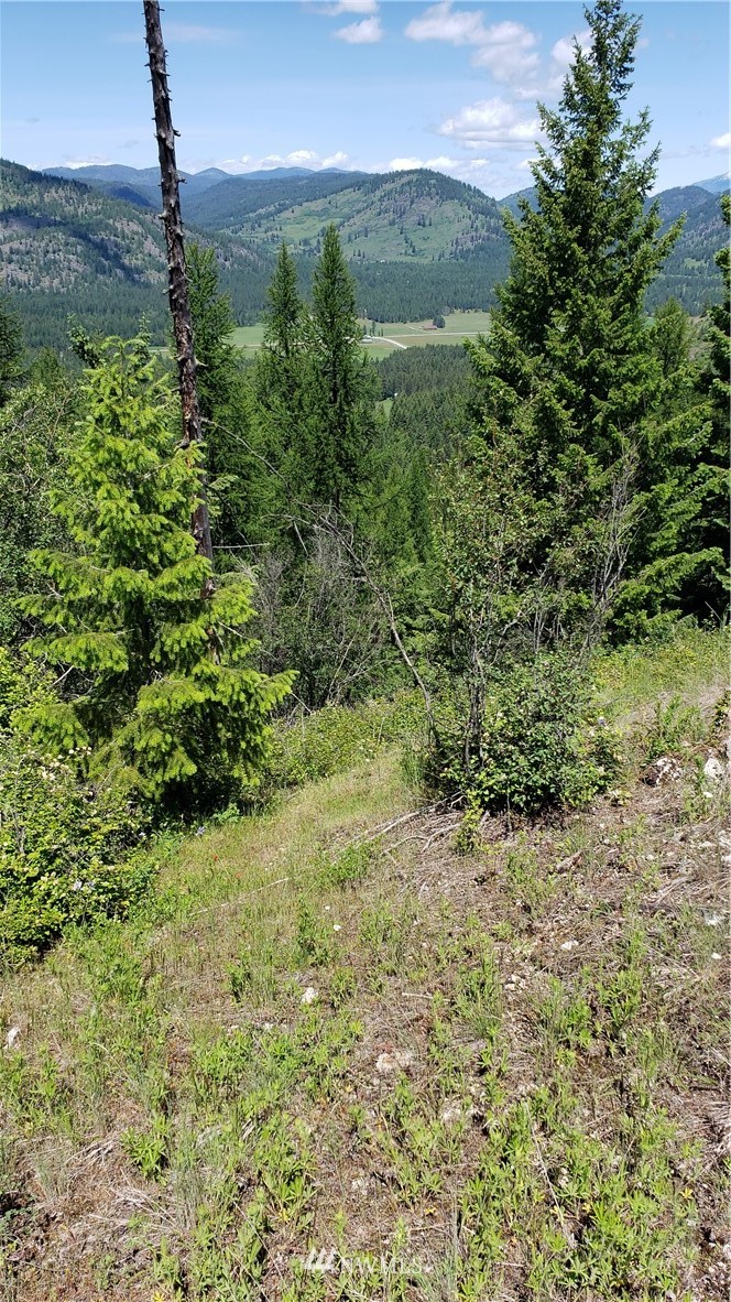 3478 Moore Road Kettle Falls, WA 99141 - Photo 34 of 37 Gallery Image 34