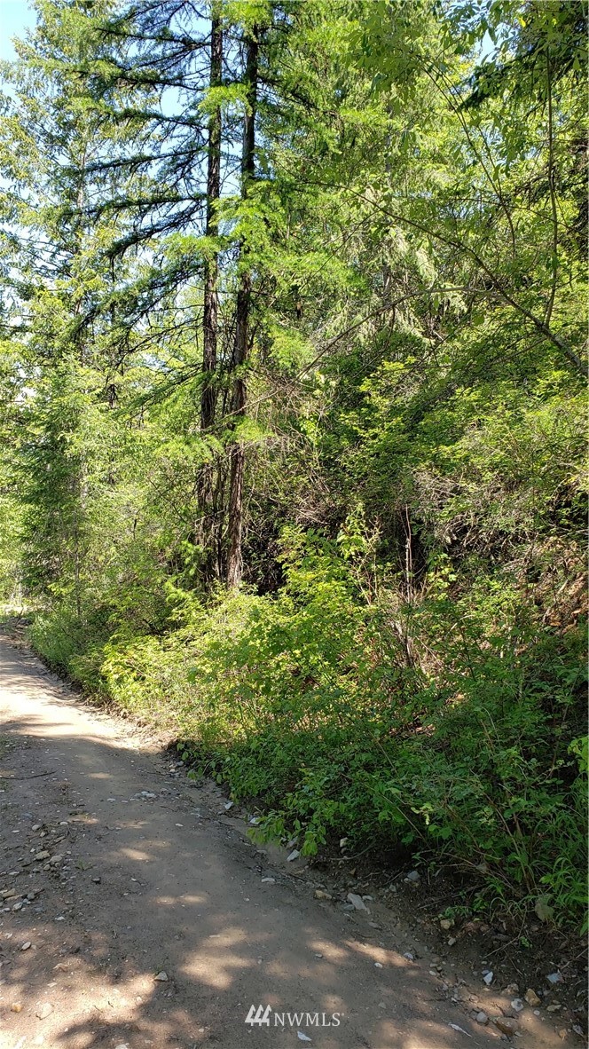 3478 Moore Road Kettle Falls, WA 99141 - Photo 10 of 37 Gallery Image 10