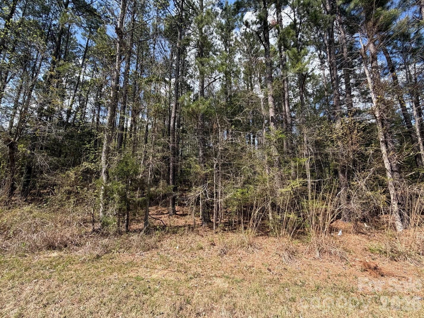 0 Brooklyn Road Great Falls, SC 29055 - Photo 3 of 3