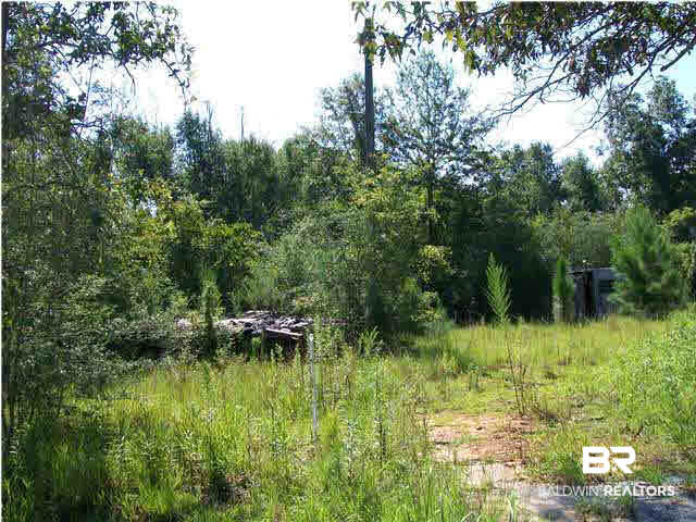 18450 Tanner Road Citronelle, AL 36522 - Photo 1 of 1