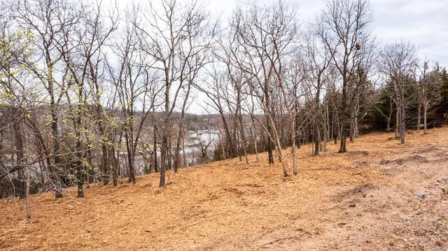 $59,850 | 0 Fischer Place, Edwards, MO 65326