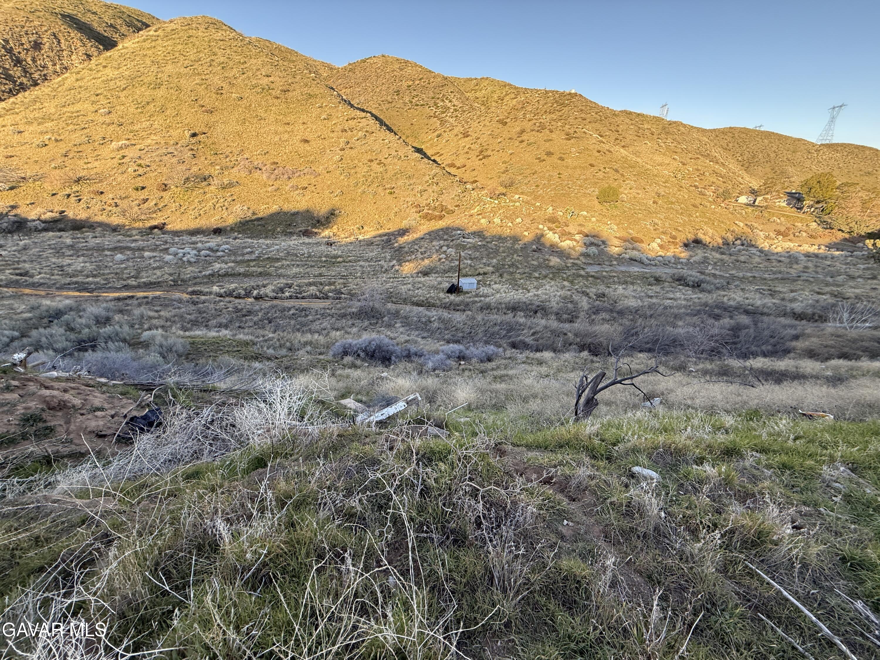 6221 Elizabeth Lake Road Leona Valley, CA 93551 - Photo 4 of 8 2026-02-04 16.33.46