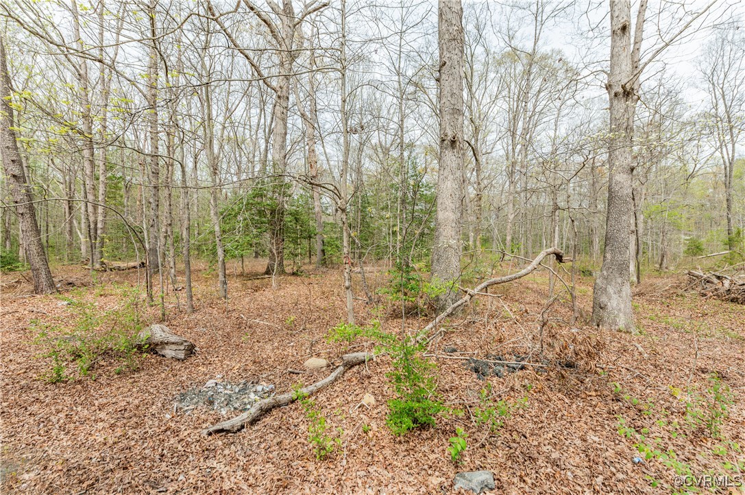 831 Nash Road Sandston, VA 23150 - Photo 1 of 8 a backyard of a house with lots of green space