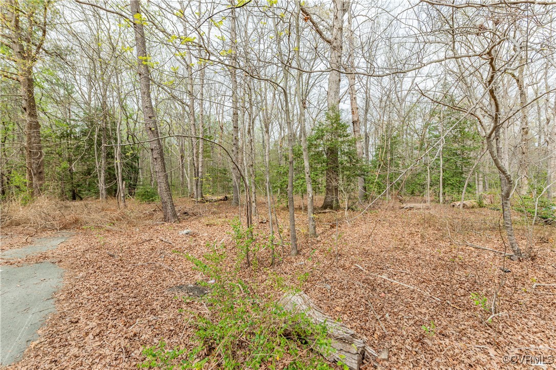 831 Nash Road Sandston, VA 23150 - Photo 2 of 8 a view of backyard with green space