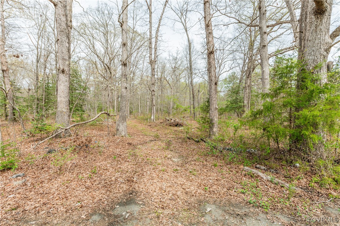 831 Nash Road Sandston, VA 23150 - Photo 3 of 8 a view of empty room with tree s