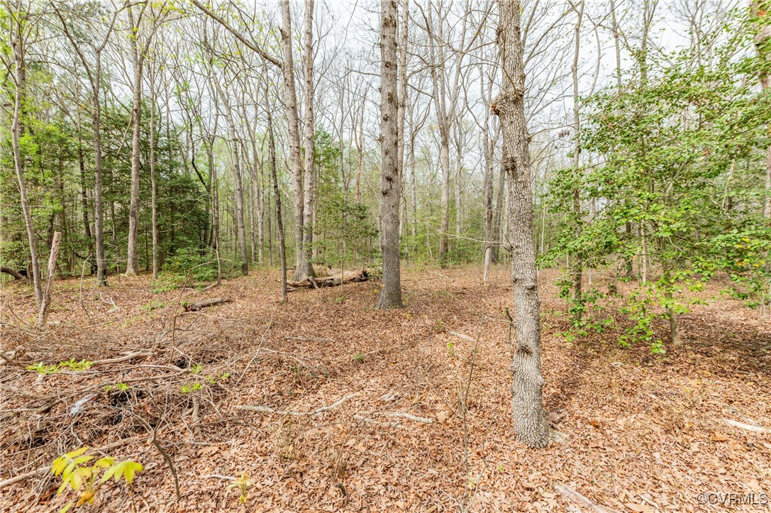 831 Nash Road Sandston, VA 23150 - Photo 4 of 8 a view of outdoor space with trees