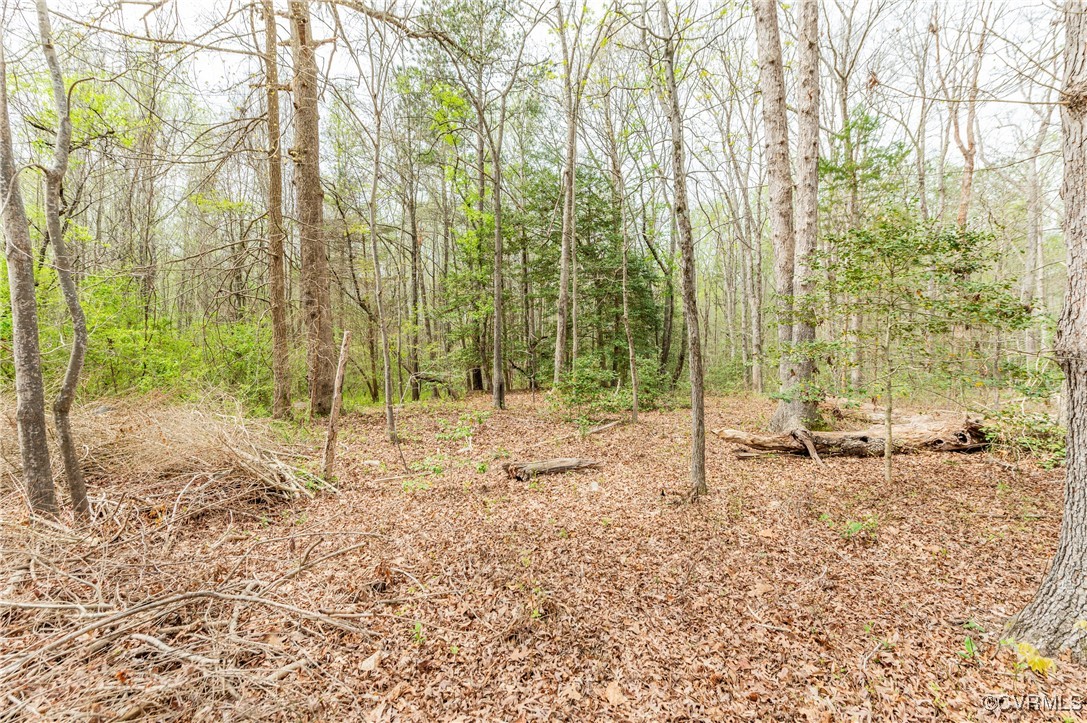 831 Nash Road Sandston, VA 23150 - Photo 5 of 8 a backyard of a house with lots of green space