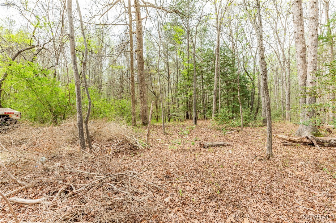 831 Nash Road Sandston, VA 23150 - Photo 6 of 8 a backyard of a house with lots of green space