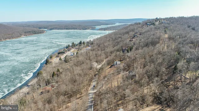 a view of a dry yard