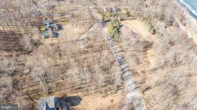 a view of swimming pool with lawn chairs and plants