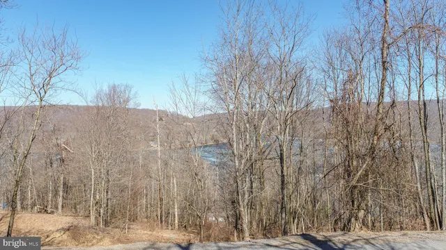 a view of a backyard of the house