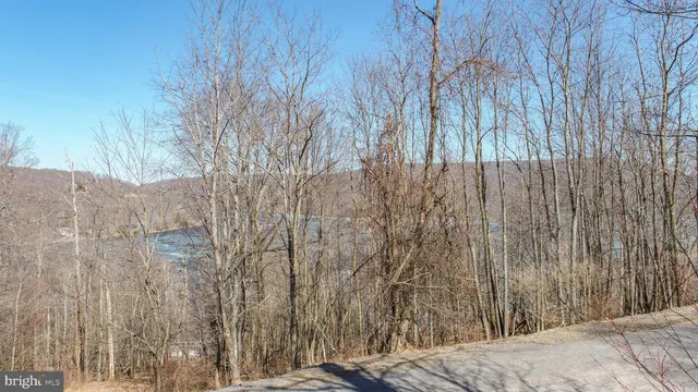 a view of wooden floor