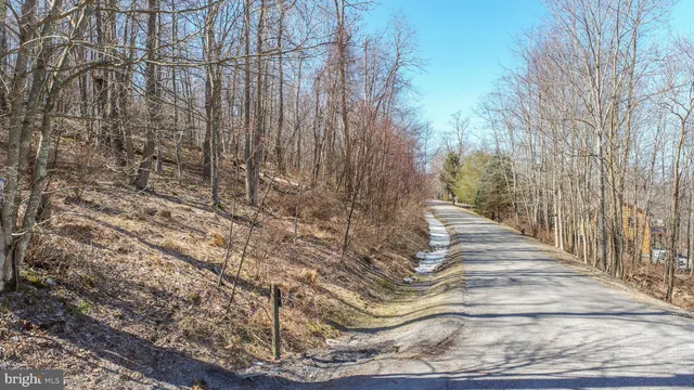 a view of a pathway with a yard