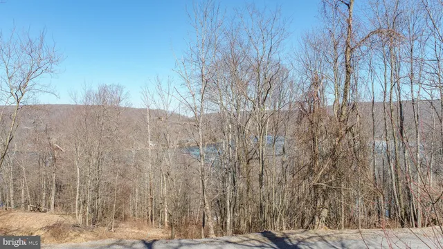 a view of a backyard of the house