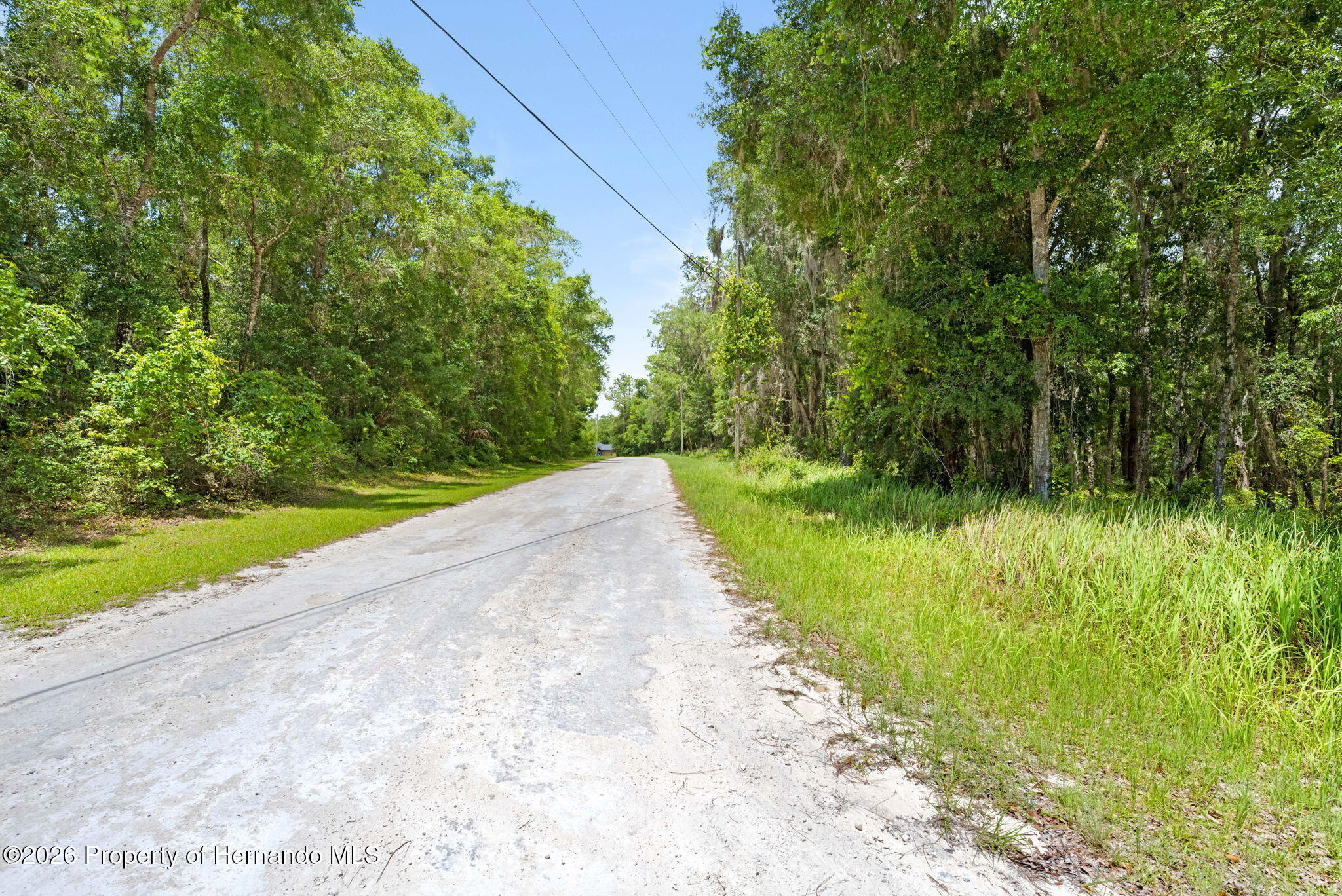 0 Ricebird Avenue Weeki Wachee, FL 34614 - Photo 15 of 26