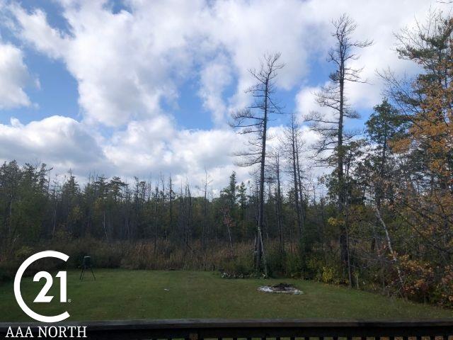 9919 Sashabaw Road Clarkston, MI 48348 - Photo 18 of 20 50027531-17.JPG