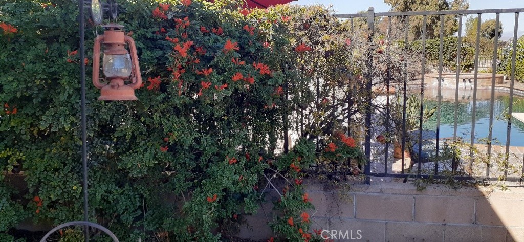 1484 Pepper Tree Drive Hemet, CA 92545 - Photo 20 of 24 Back Yard