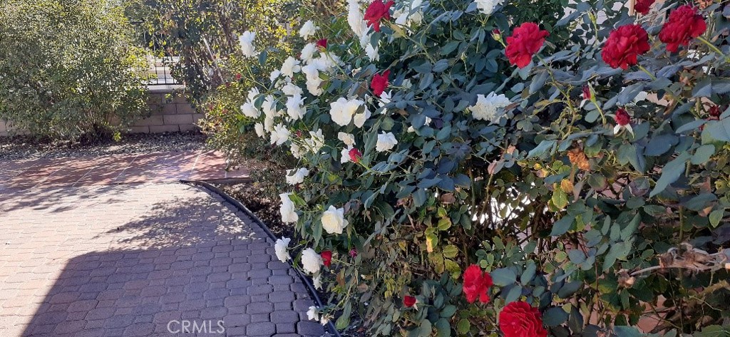 1484 Pepper Tree Drive Hemet, CA 92545 - Photo 22 of 24 Beautiful Rose Garden