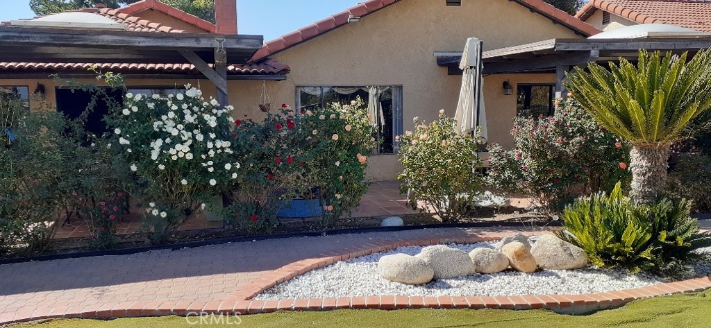 1484 Pepper Tree Drive Hemet, CA 92545 - Photo 3 of 24 Back yard garden area