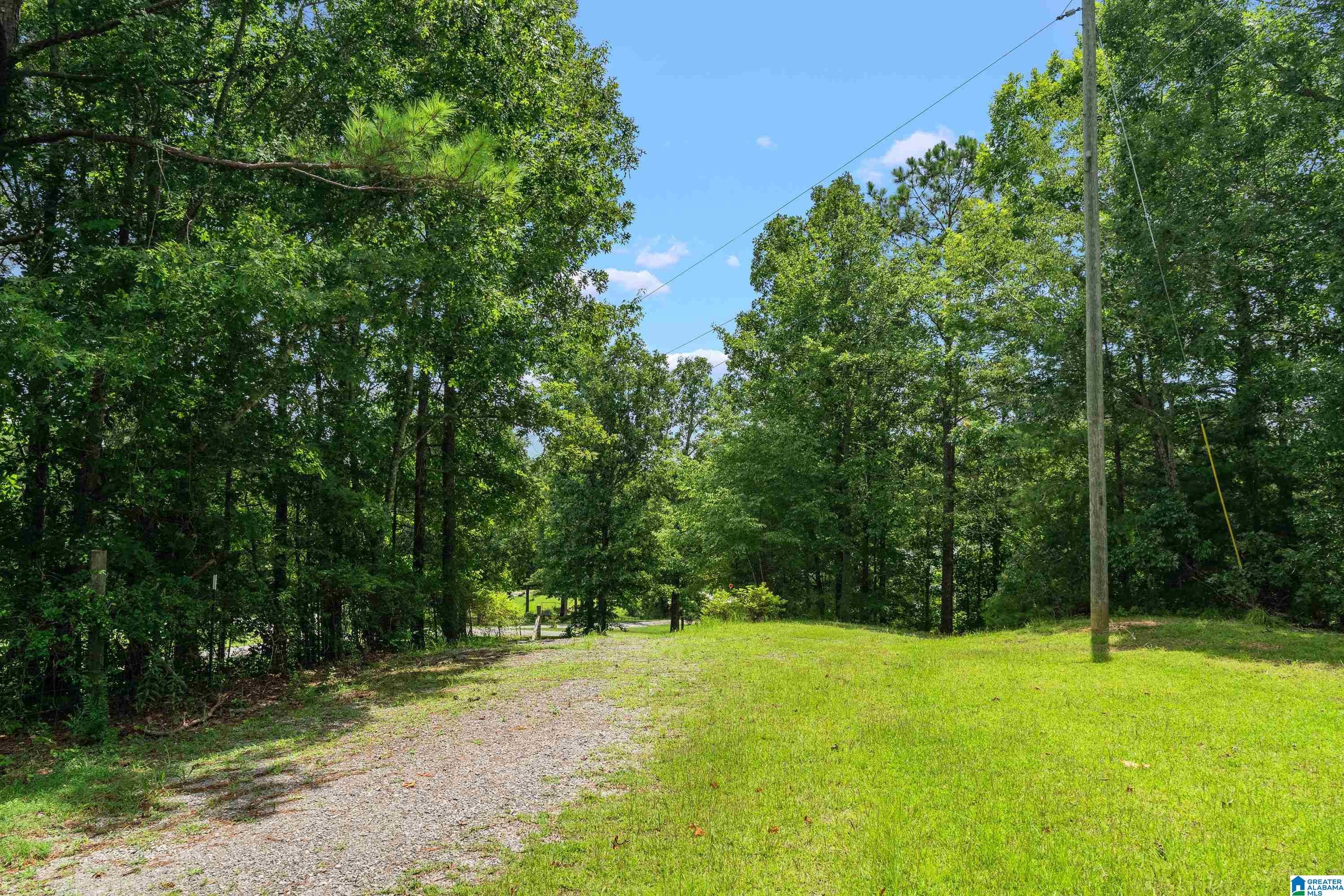 1283 Rogers Road Oneonta, AL 35121 - Photo 58 of 58