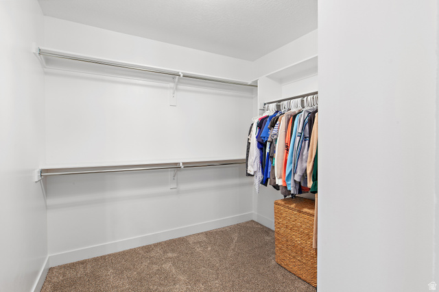 2343 Wysteria Drive Mapleton, UT 84664 - Photo 21 of 30 Walk in closet with carpet floors