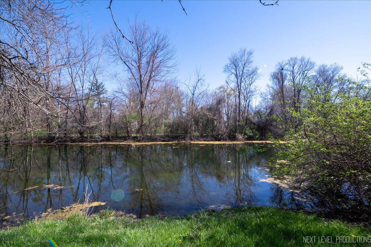 5N511 Oak Lawn Farm Road Wayne, IL 60184 - Photo 17 of 52 Gallery Image 17