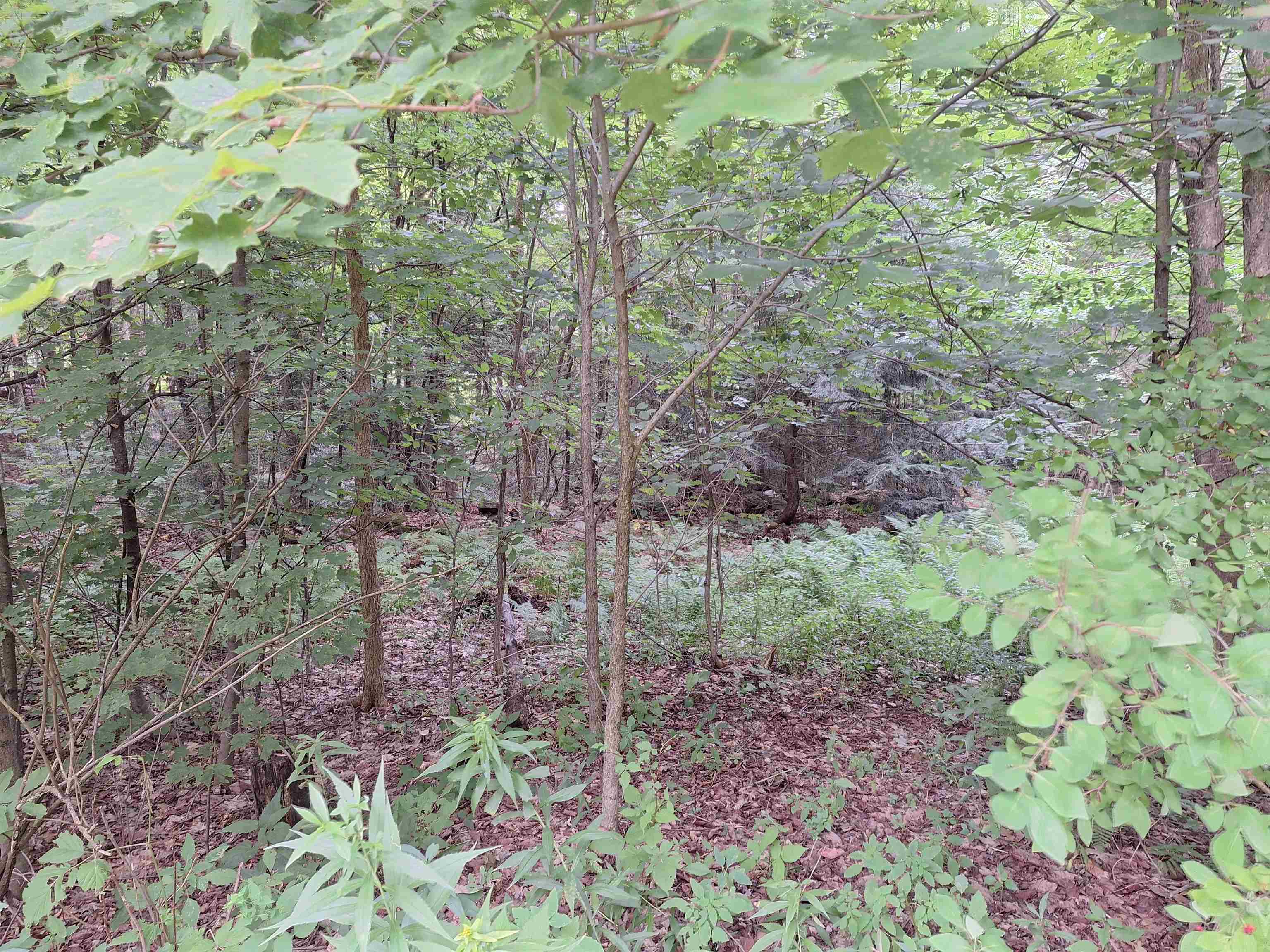 447 Pratt Road Alstead, NH 03602 - Photo 11 of 16 Gallery Image 11