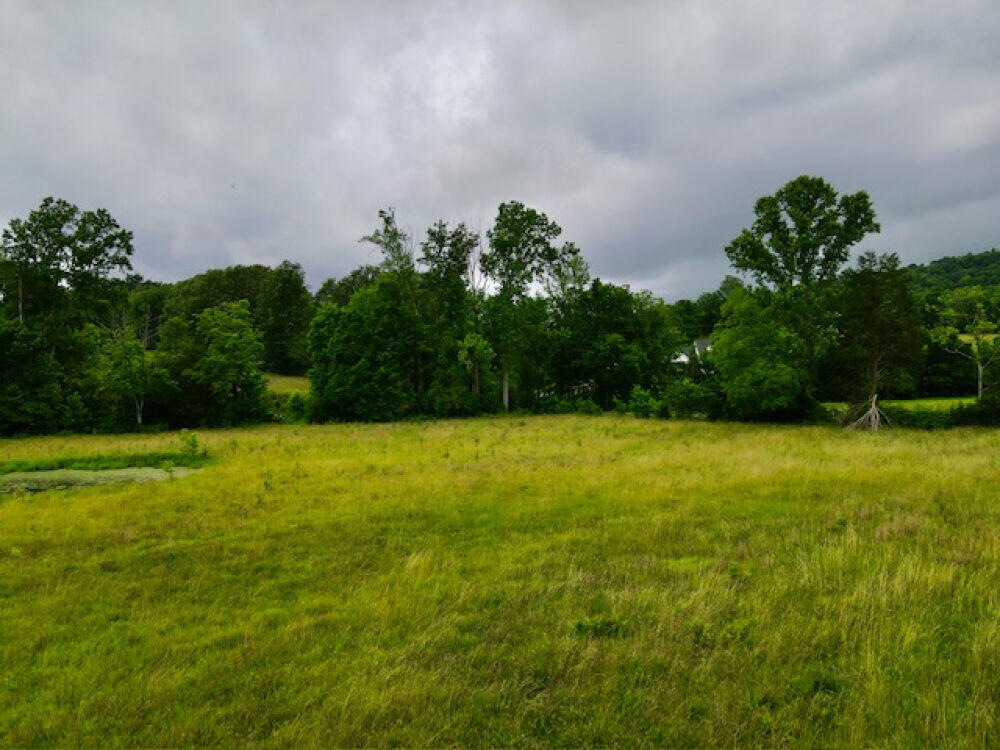 999 Shug Road Mount Vernon, KY 40456 - Photo 2 of 17 img_1750430206145759672