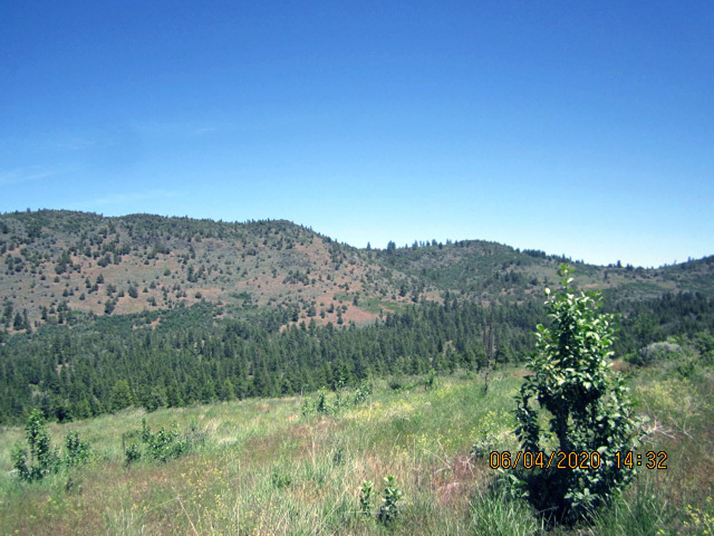 38 Twp Rnge 9 Sec 9 Sw4nw4 Road Klamath Falls, OR 97601 - Photo 7 of 19 Anderson-02