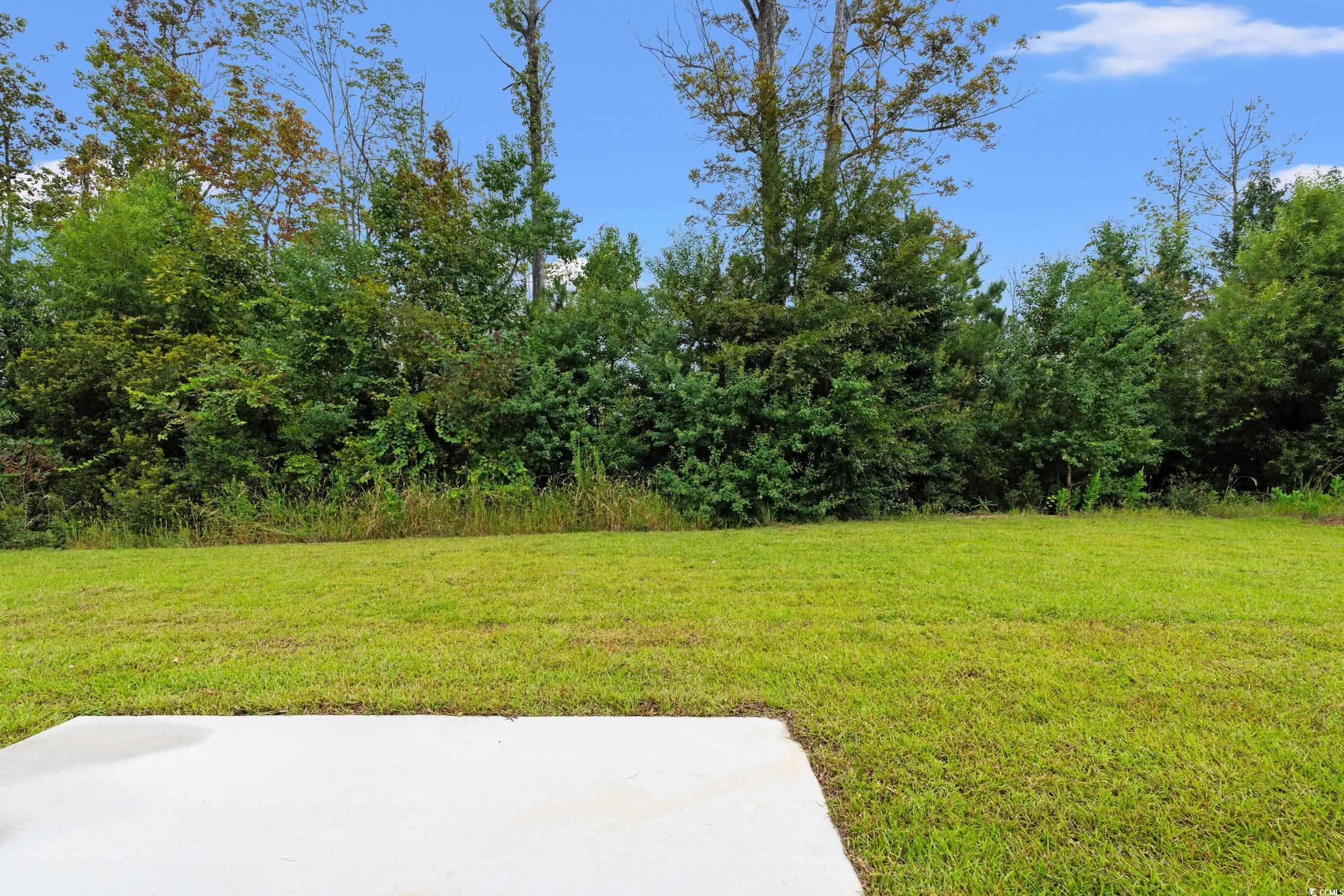 2827 Biscane Court Conway, SC 29527 - Photo 23 of 31 View of grassy yard