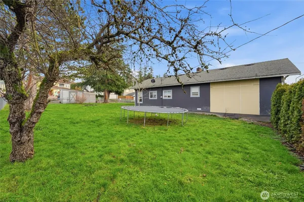 a view of a house with a yard potted plants and large tree