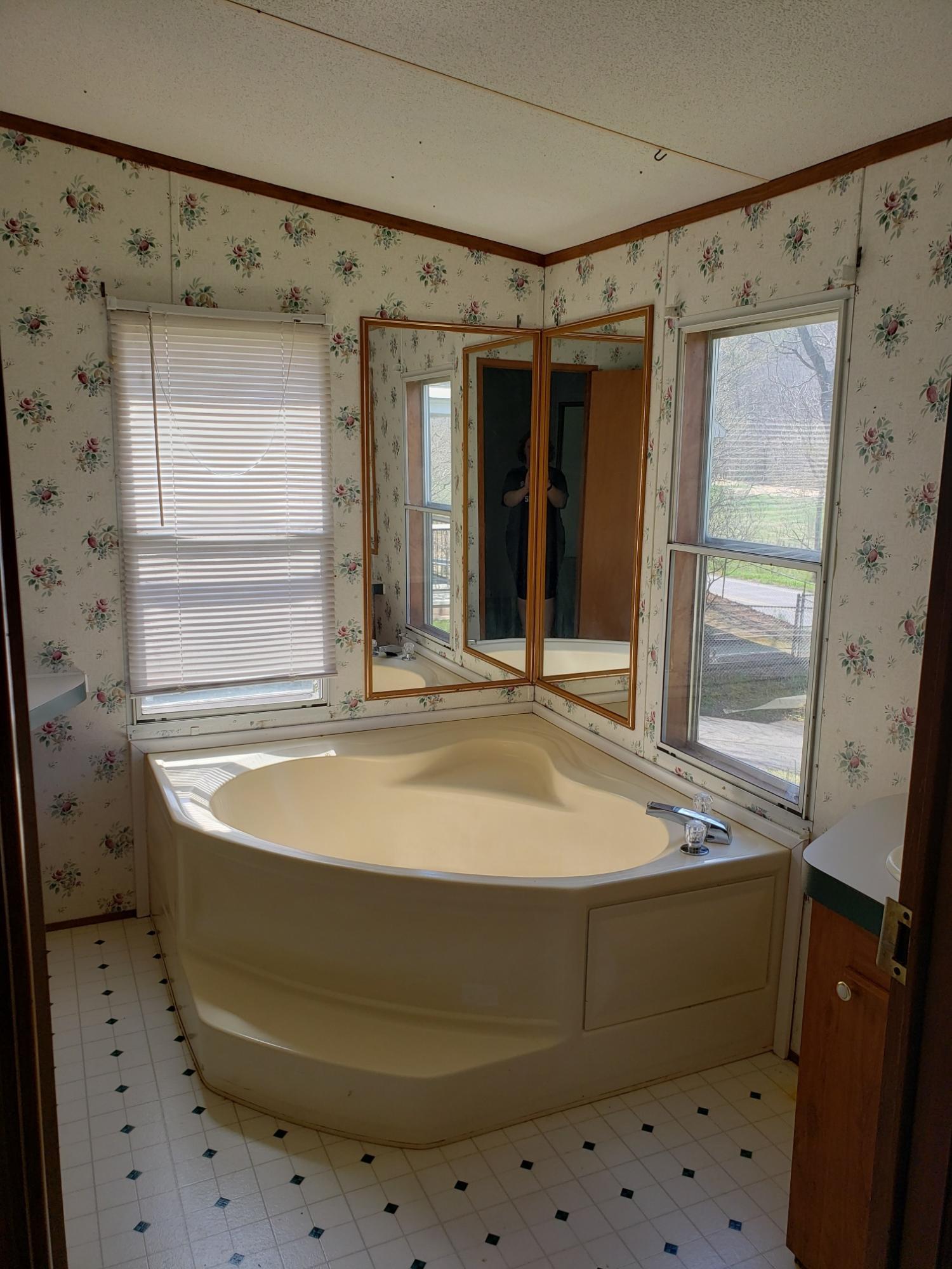 2900 Alleghany Spring Road Shawsville, VA 24162 - Photo 7 of 19 a bathroom with a bathtub and a shower