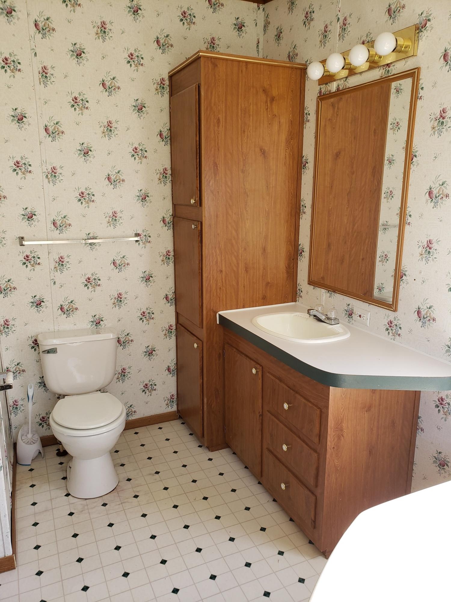 2900 Alleghany Spring Road Shawsville, VA 24162 - Photo 8 of 19 a bathroom with a sink toilet a mirror and shower