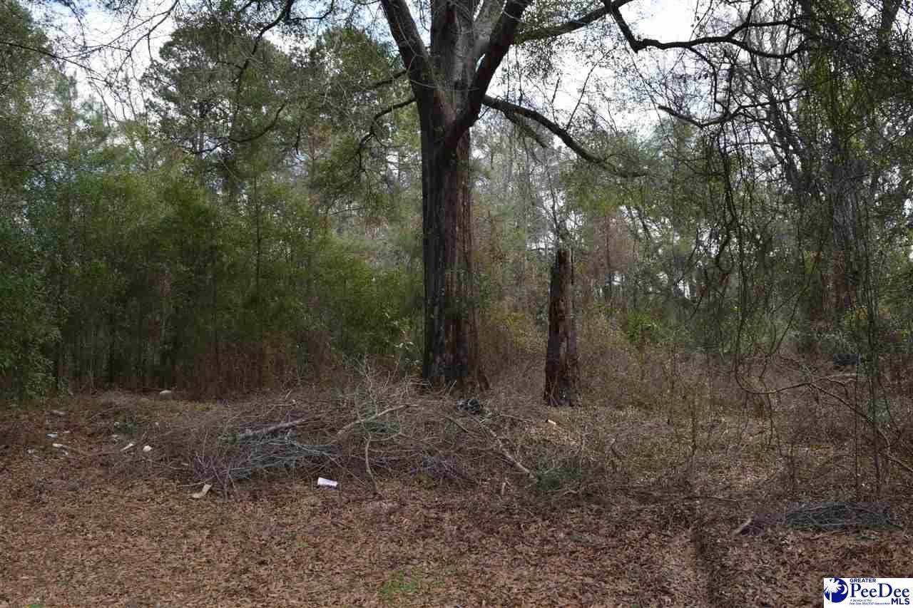 Tbd North Price Road & Chinaberry Road Florence, SC 29506 - Photo 6 of 6 Gallery Image 6