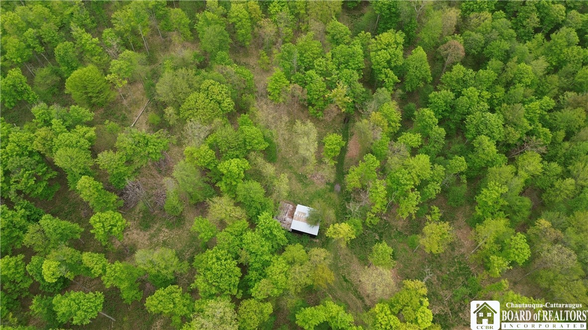 Fulmer Valley Road Wellsville, NY 14895 - Photo 11 of 49
