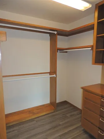 a view of an empty walk in closet
