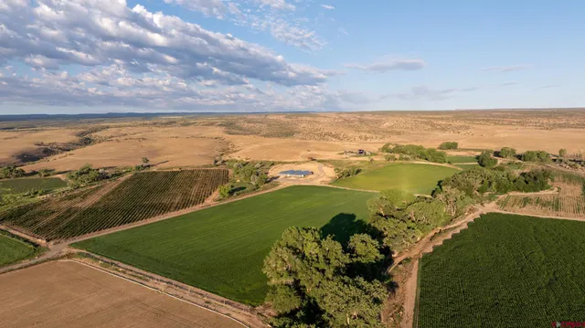 a view of a ocean with a mountain