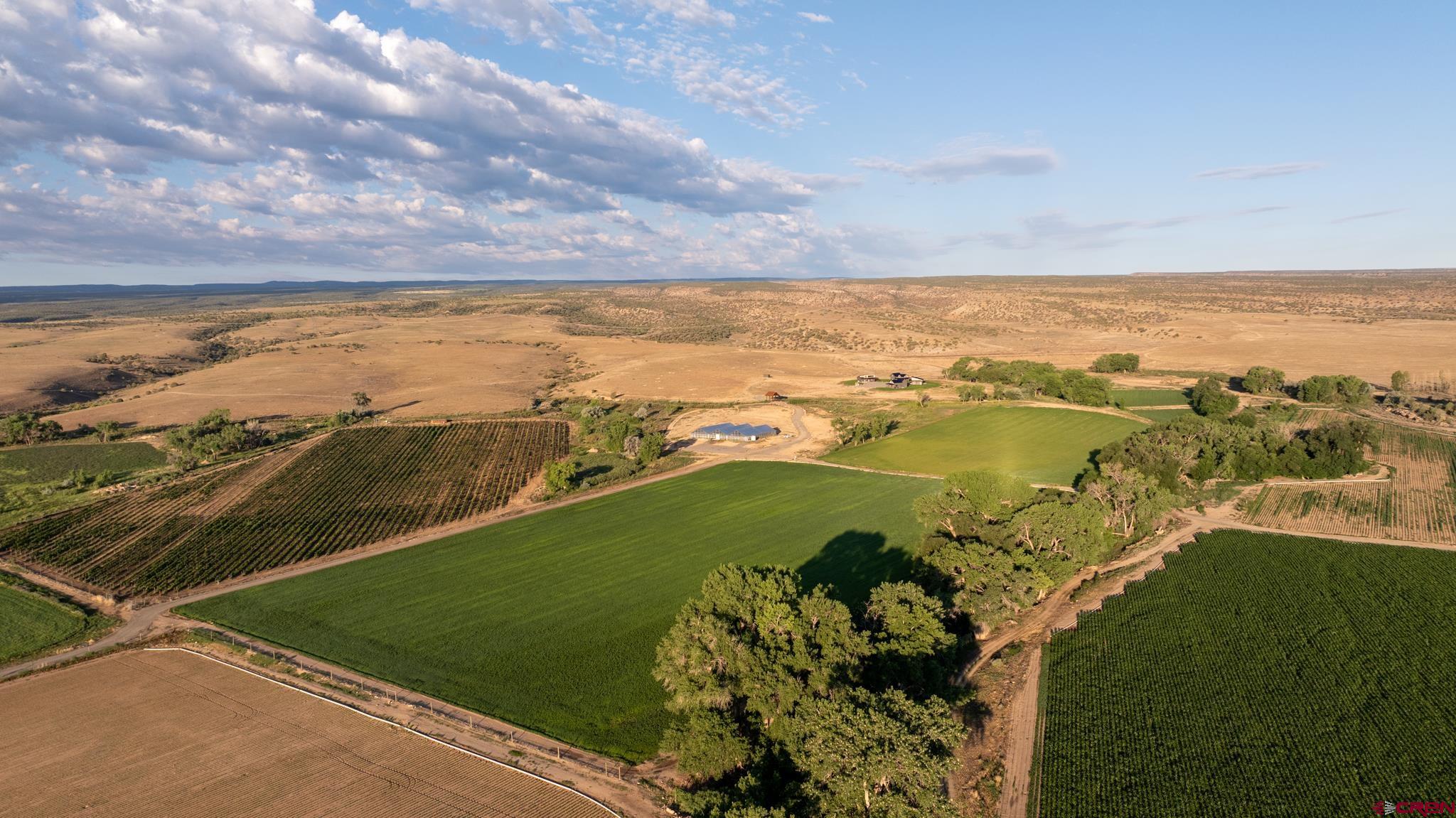 53582 Falcon Road Olathe, CO 81425 - Photo 11 of 42 a view of a ocean with a mountain