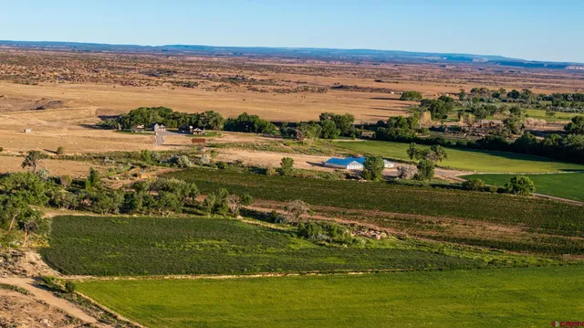 a view of a city with ocean view