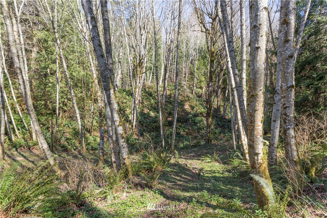 5812 Beaver Valley Road Chimacum, WA 98325 - Photo 21 of 27