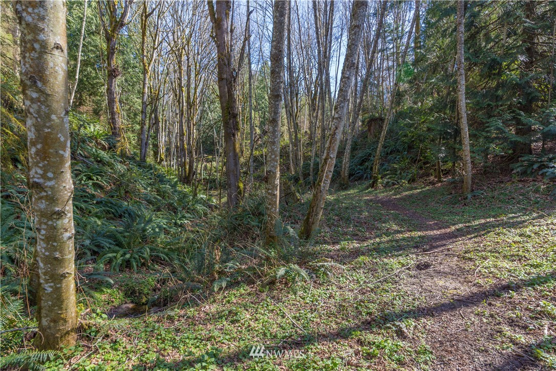5812 Beaver Valley Road Chimacum, WA 98325 - Photo 22 of 27