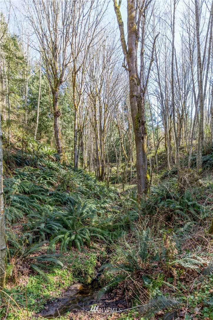 5812 Beaver Valley Road Chimacum, WA 98325 - Photo 24 of 27