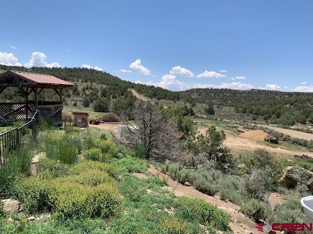 a view of a lake in middle of forest