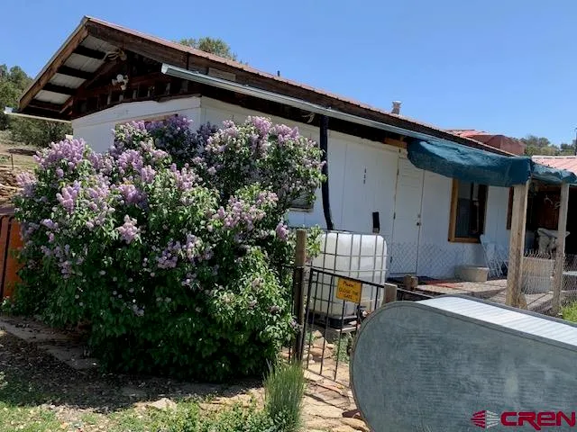 a view of a flower in a garden