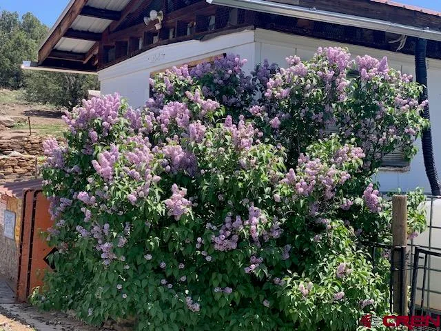 a view of a city with lots of trees