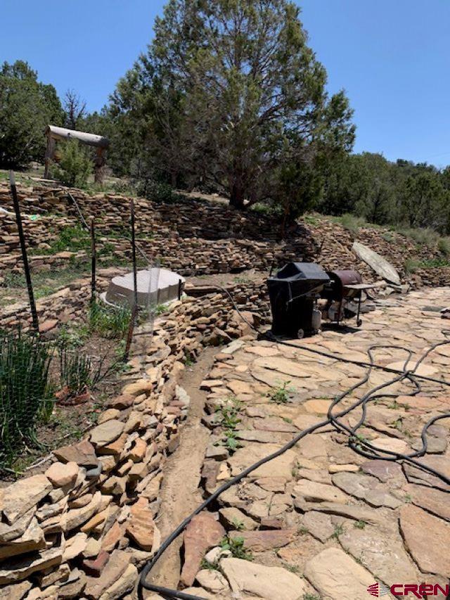 337 County Road 4018 Navajo Dam, CO 87419 - Photo 2 of 20 a view of a yard