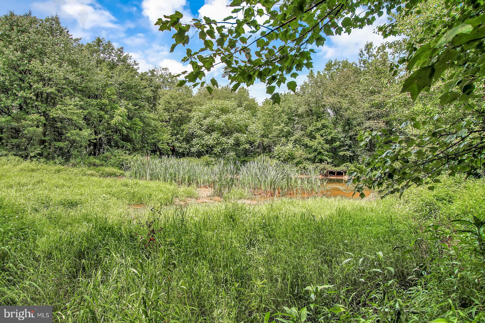 91 Blackburn Road Quarryville, PA 17566 - Photo 33 of 36 Pond